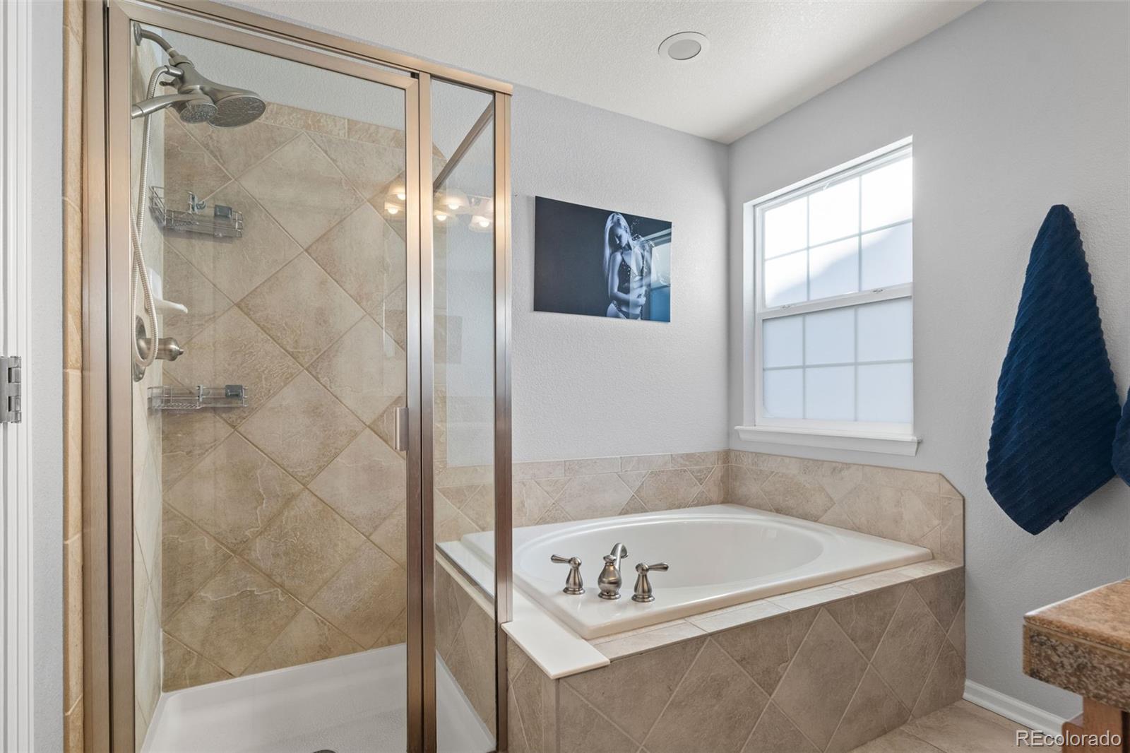 MLS Image #23 for 7870  sabino lane,castle rock, Colorado