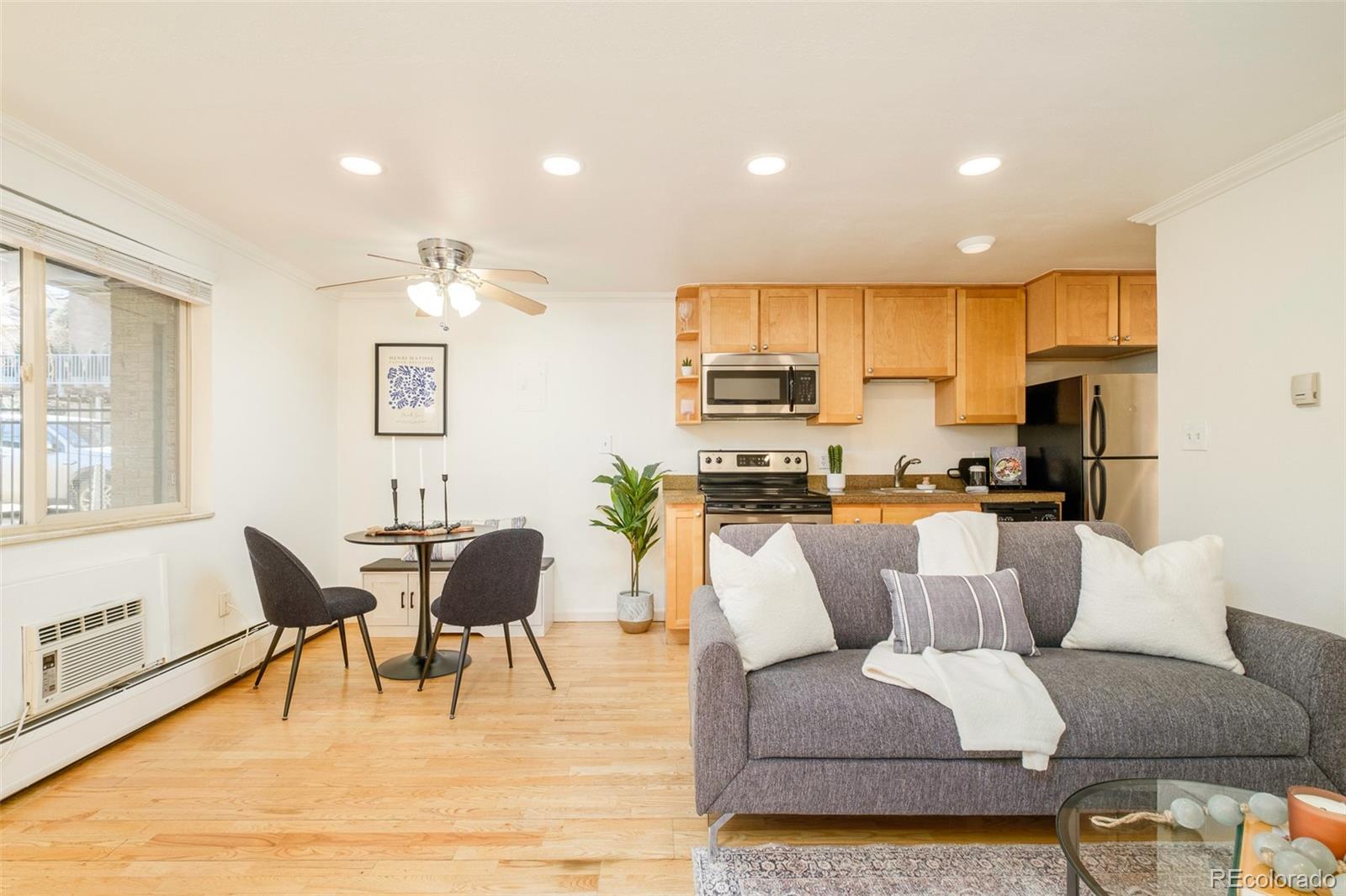 MLS Image #1 for 1135  elizabeth street 105,denver, Colorado