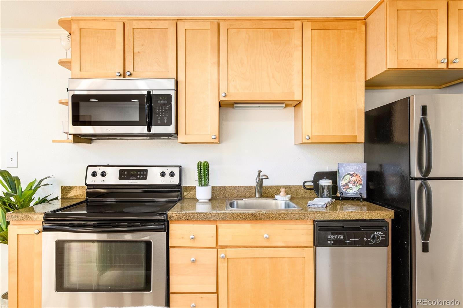 MLS Image #7 for 1135  elizabeth street 105,denver, Colorado