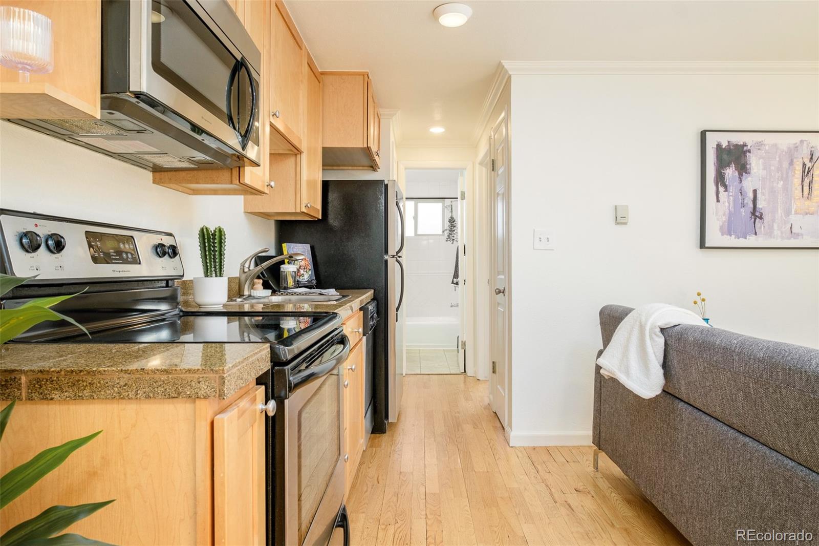 MLS Image #9 for 1135  elizabeth street 105,denver, Colorado