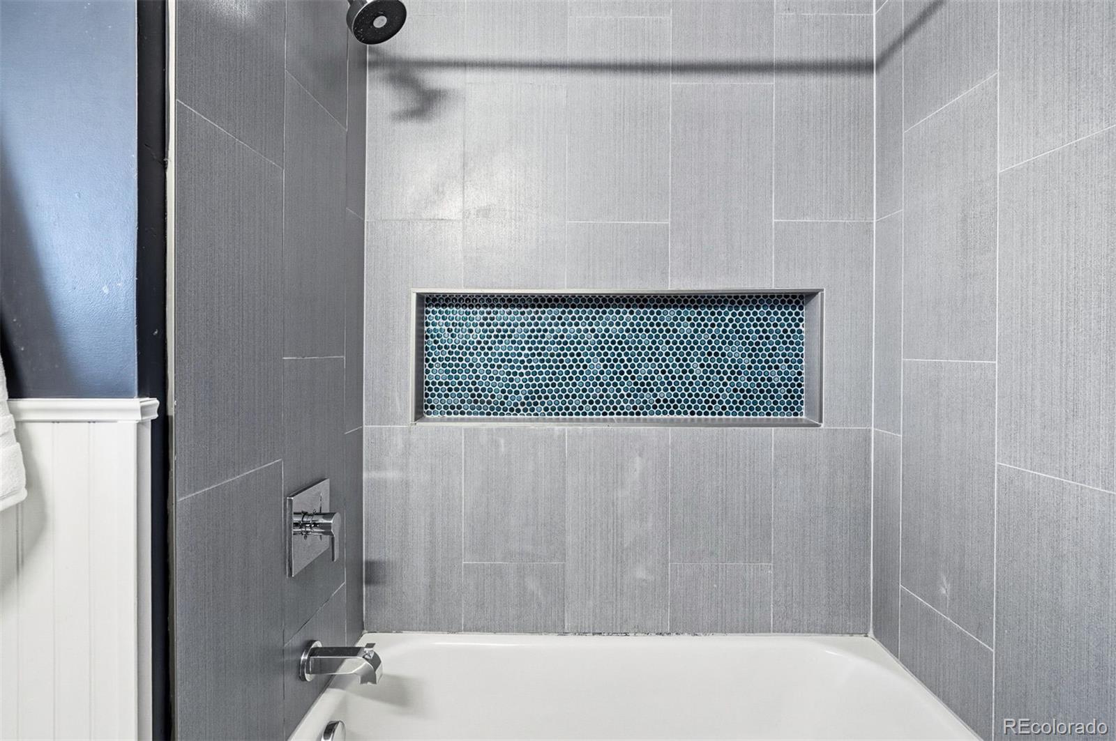 MLS Image #16 for 4675  zuni street,denver, Colorado