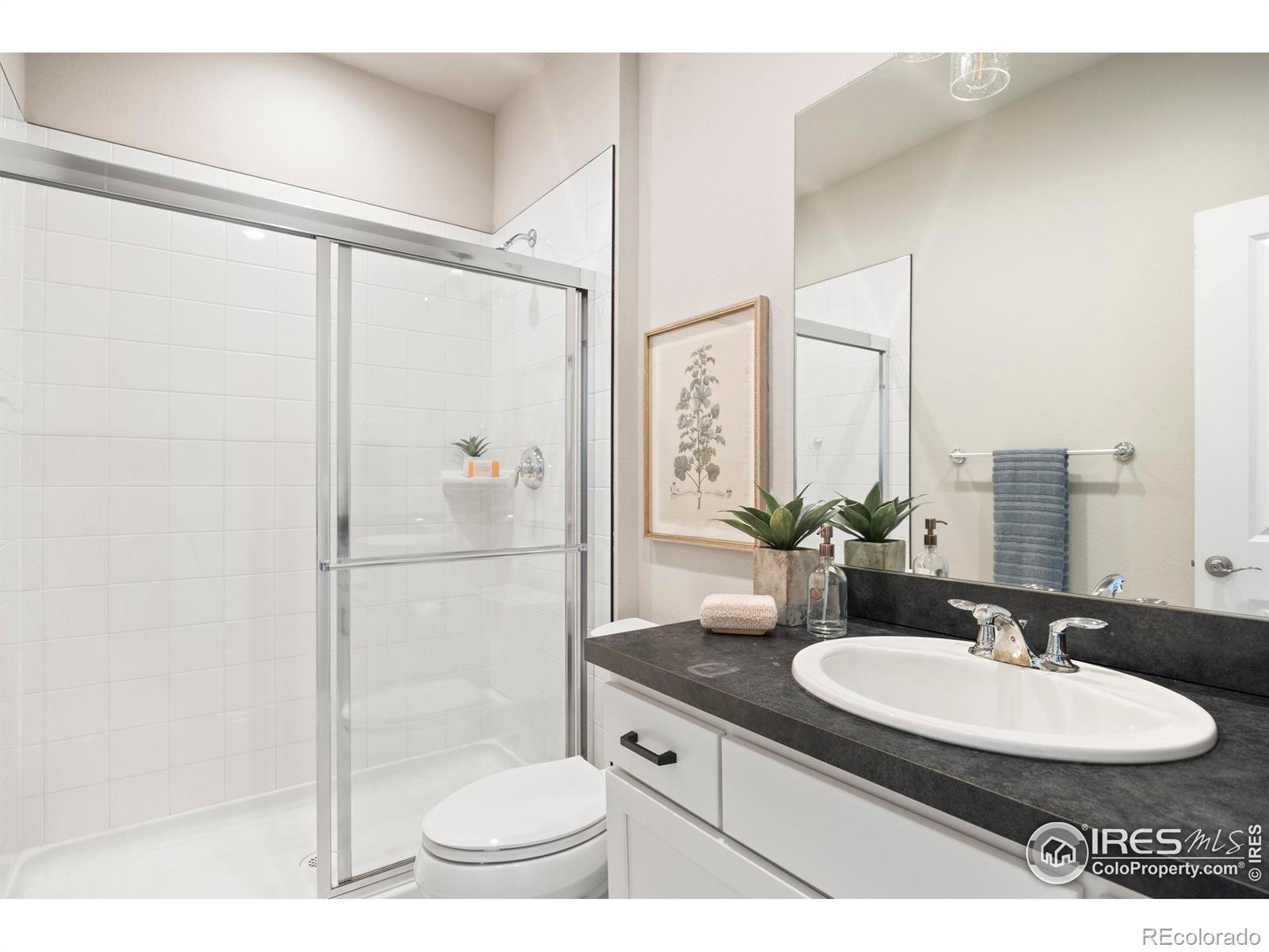 MLS Image #24 for 5757  isabella avenue,timnath, Colorado