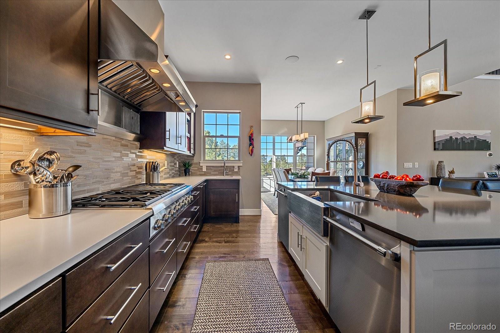 MLS Image #16 for 230 s big meadow trail,franktown, Colorado