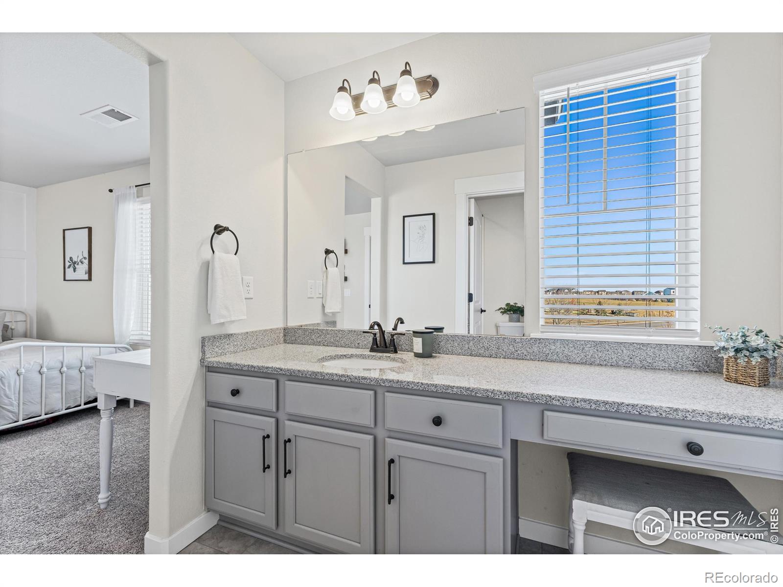 MLS Image #29 for 1755  heirloom drive,windsor, Colorado