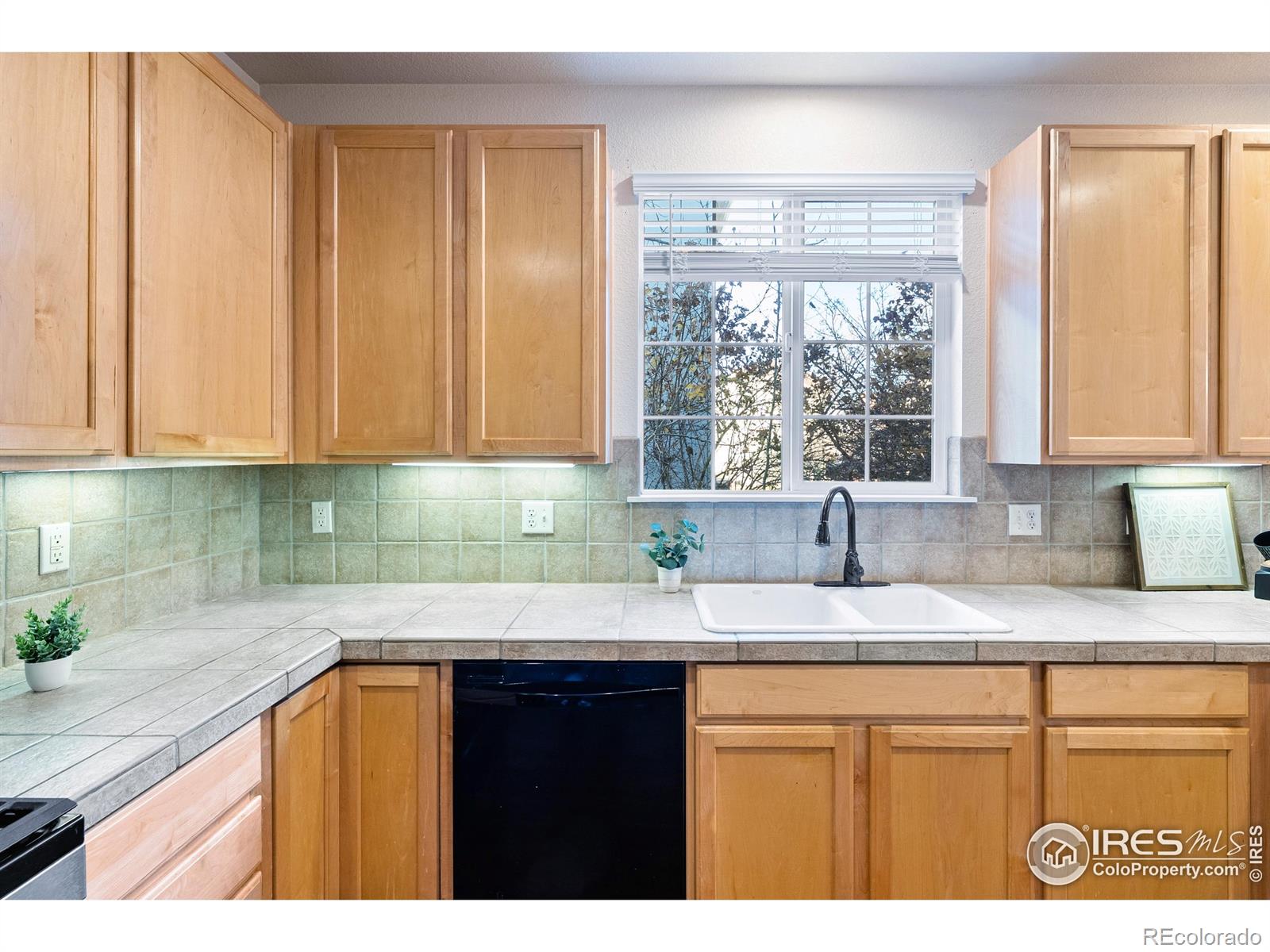 MLS Image #10 for 3686  glacier rim trail,broomfield, Colorado
