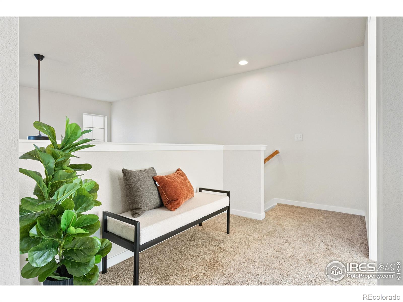 MLS Image #13 for 3686  glacier rim trail,broomfield, Colorado