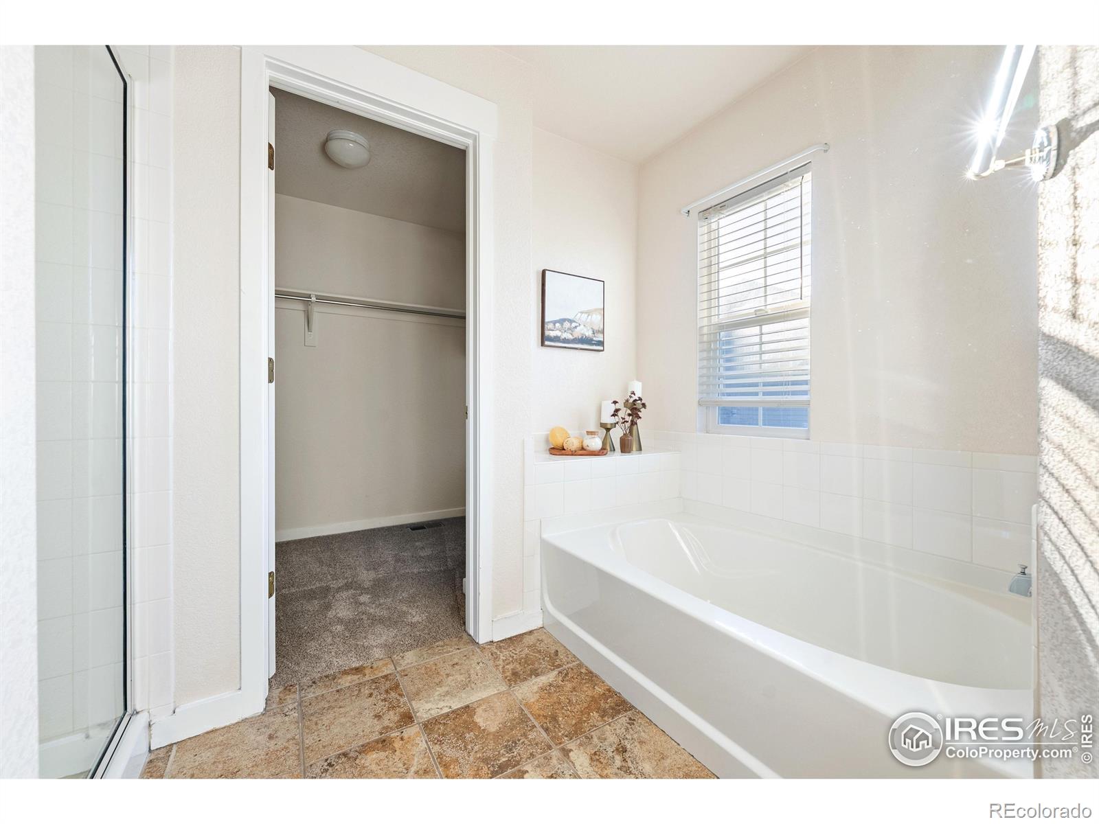 MLS Image #18 for 3686  glacier rim trail,broomfield, Colorado