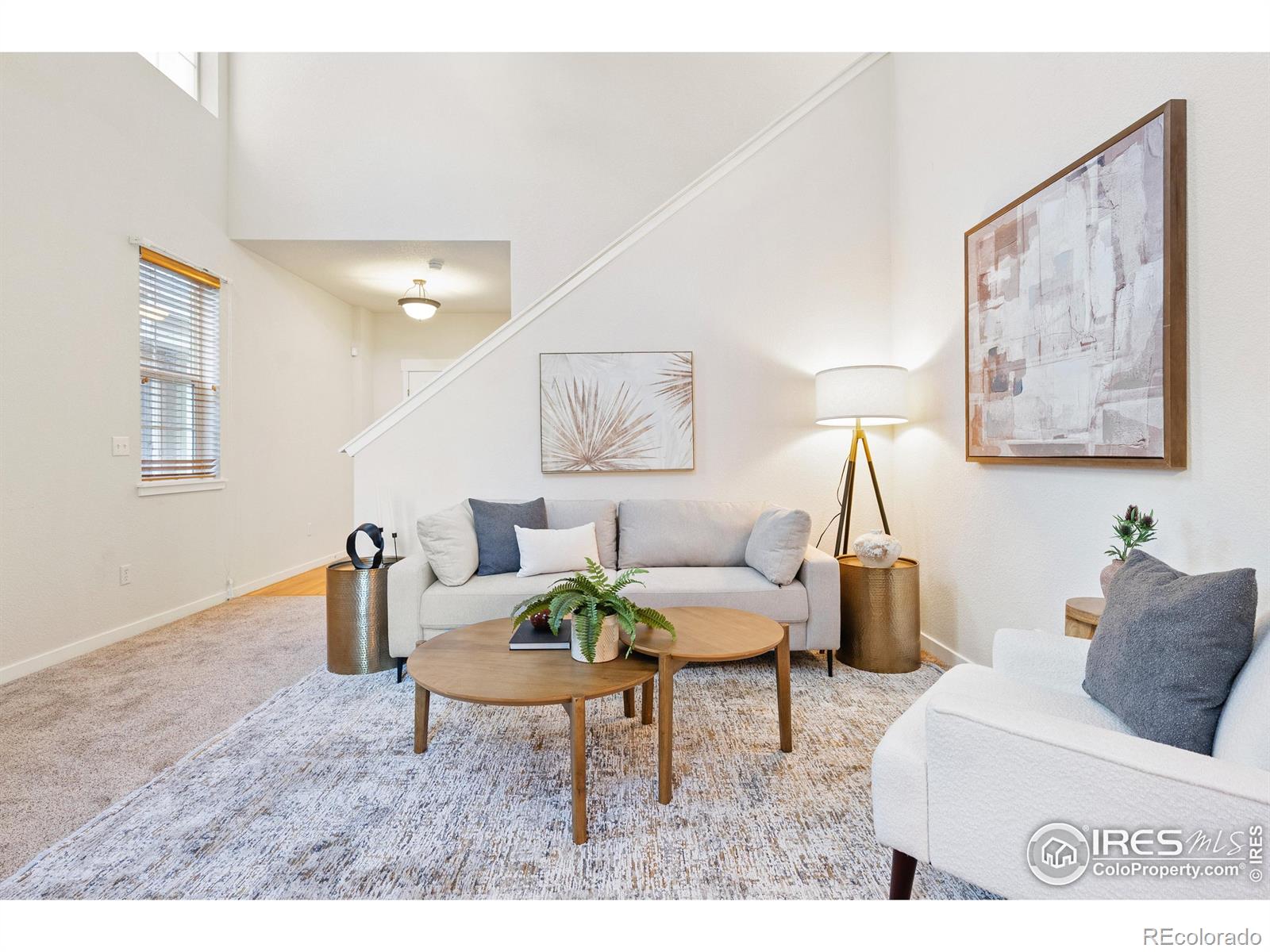 MLS Image #4 for 3686  glacier rim trail,broomfield, Colorado