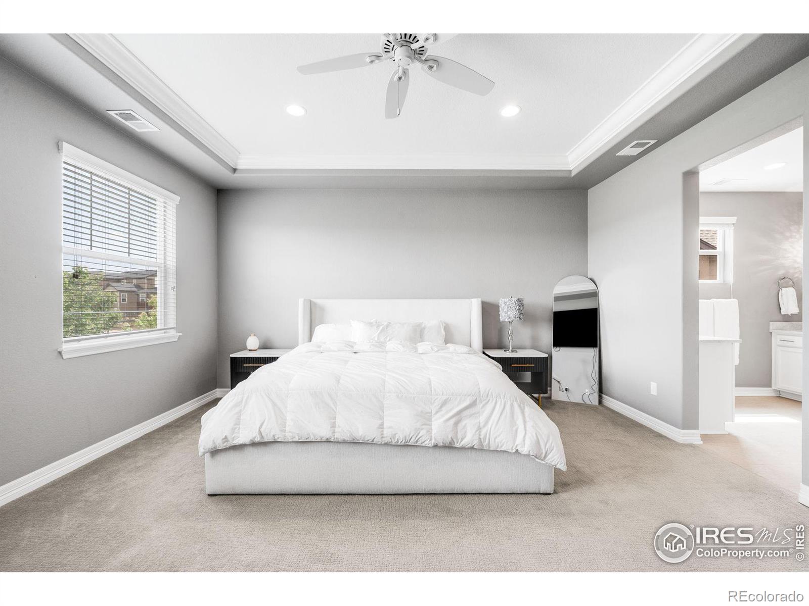 MLS Image #11 for 252  equinox circle,erie, Colorado