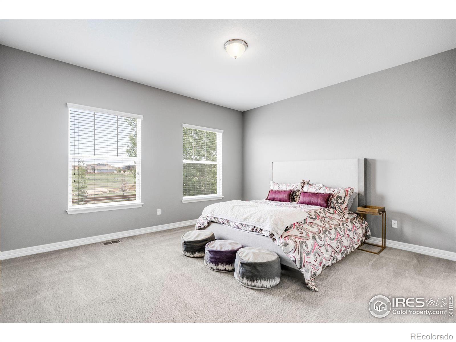 MLS Image #22 for 252  equinox circle,erie, Colorado