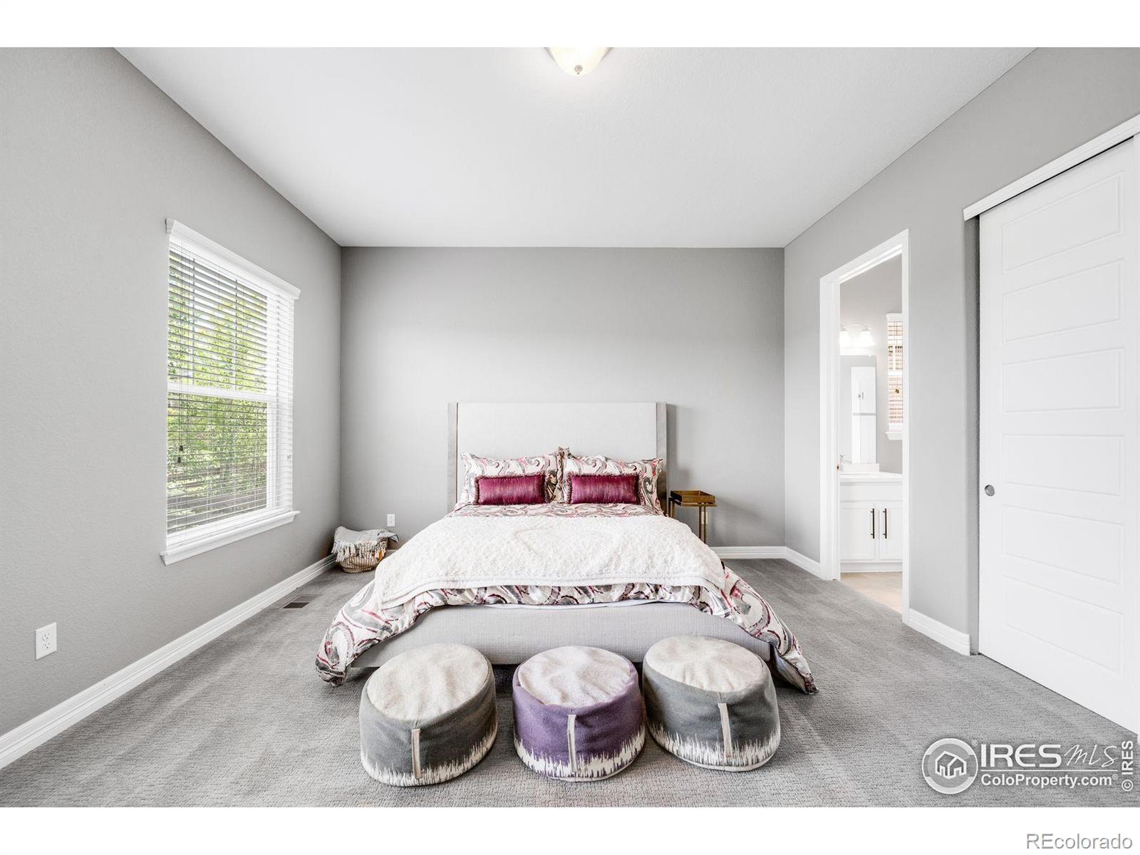 MLS Image #23 for 252  equinox circle,erie, Colorado