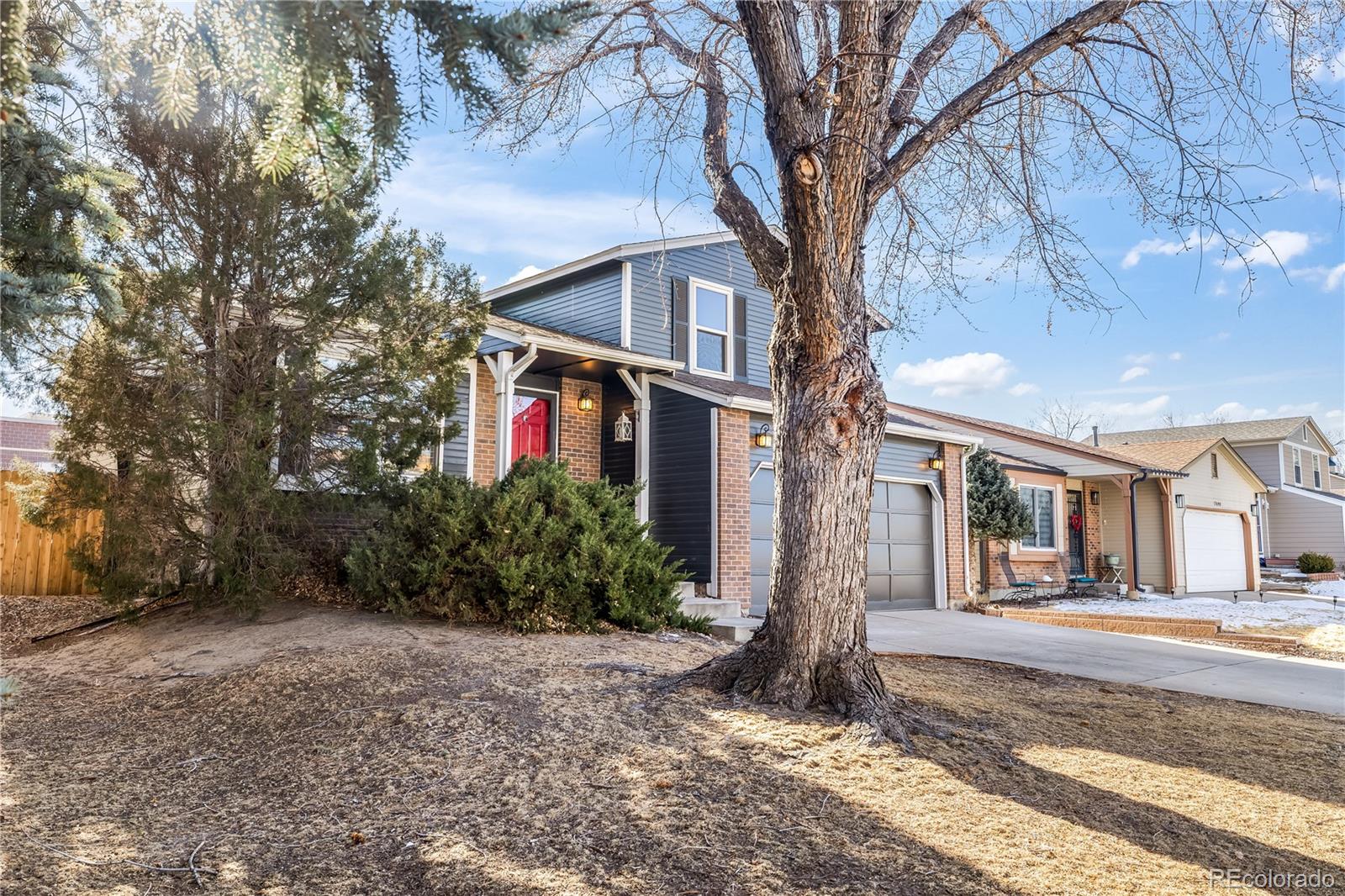 MLS Image #25 for 17704  junegrass place,parker, Colorado