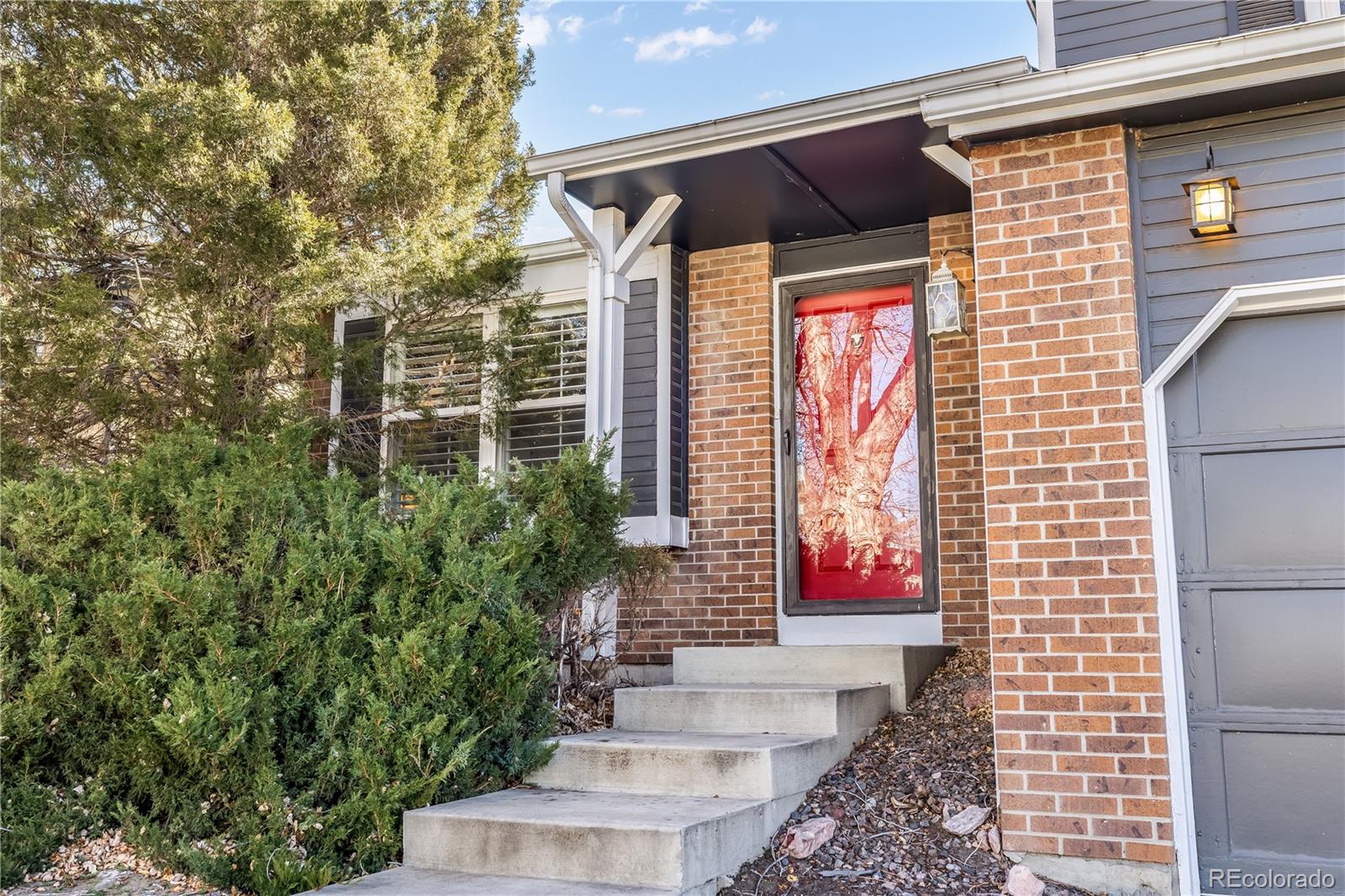 MLS Image #26 for 17704  junegrass place,parker, Colorado