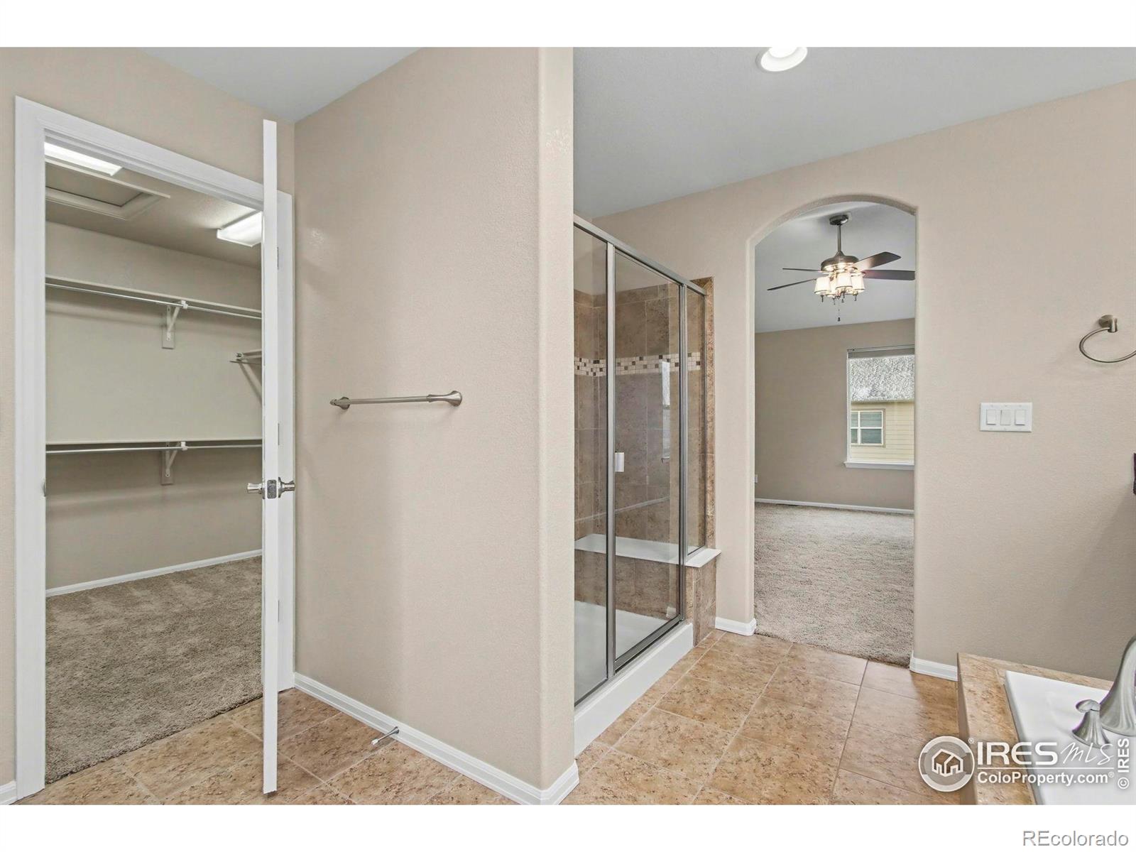 MLS Image #29 for 5894  graphite street,timnath, Colorado