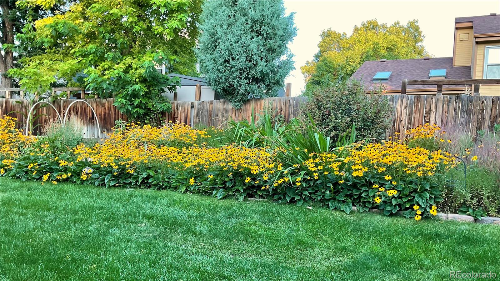 MLS Image #43 for 12180 w little haystack mountain,littleton, Colorado