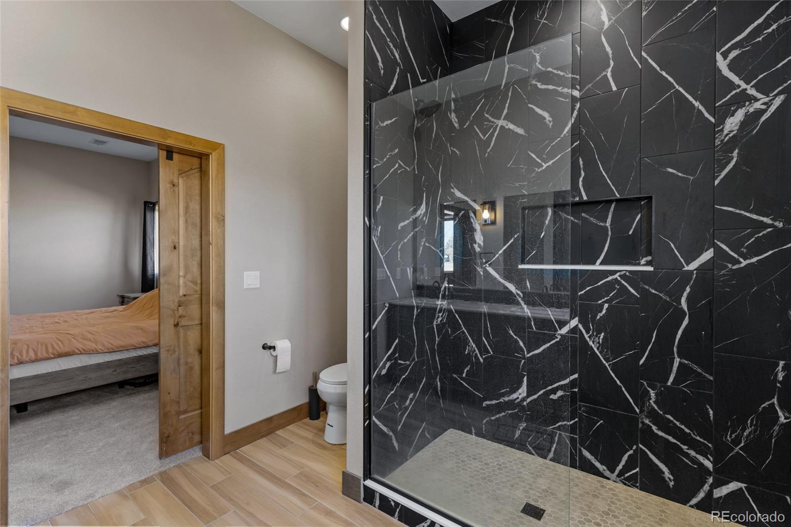 MLS Image #16 for 903  liptrap street,simla, Colorado