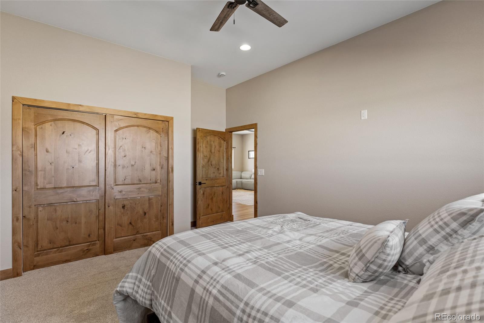 MLS Image #19 for 903  liptrap street,simla, Colorado