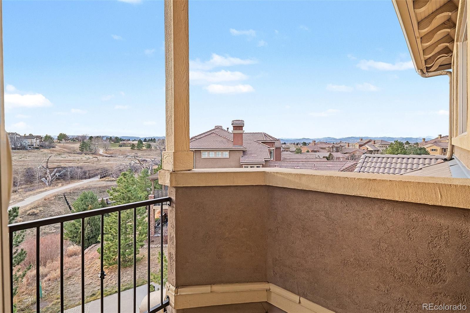 MLS Image #20 for 9323  sori lane ,highlands ranch, Colorado