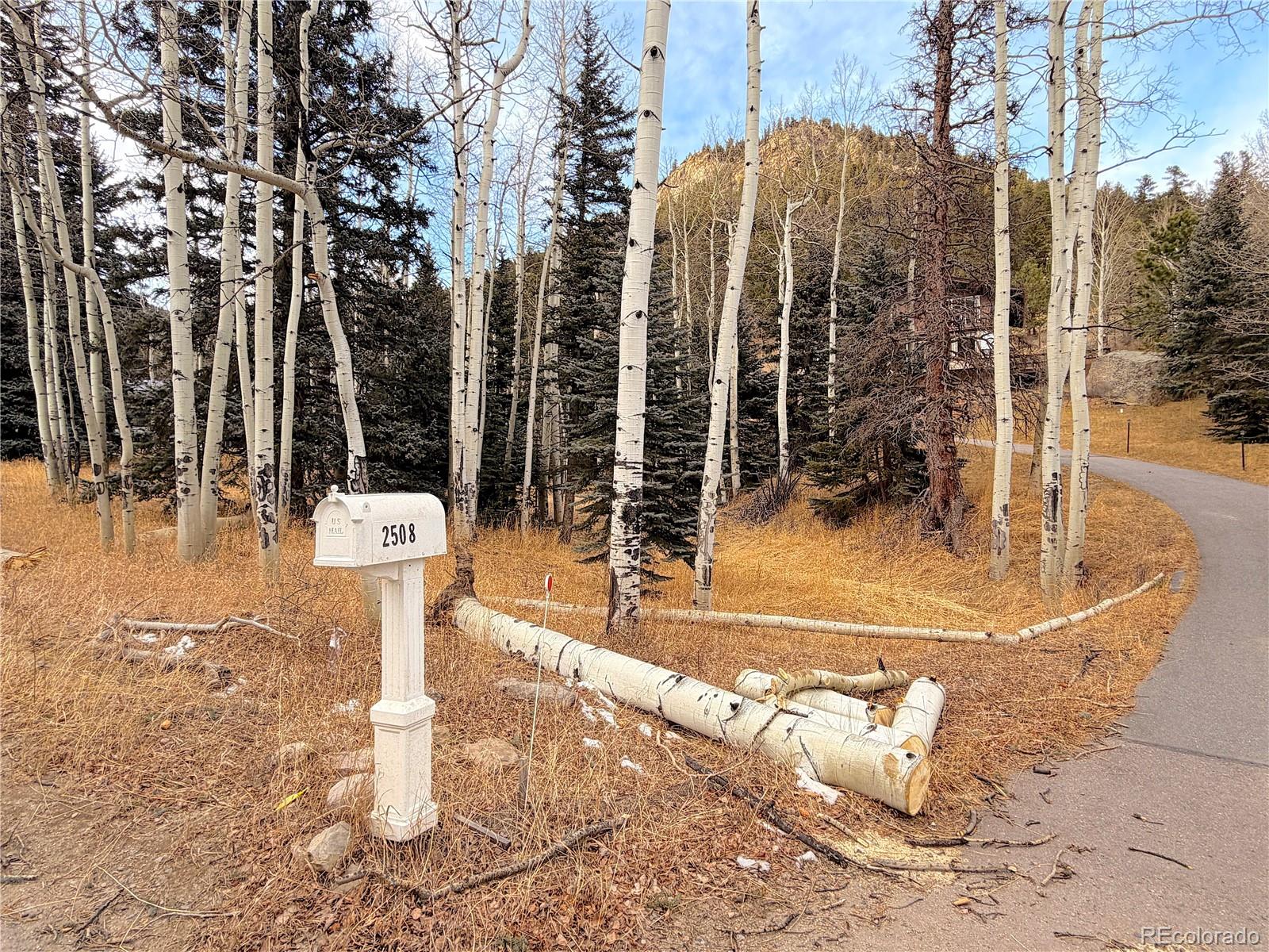 MLS Image #1 for 2508  witter gulch road,evergreen, Colorado