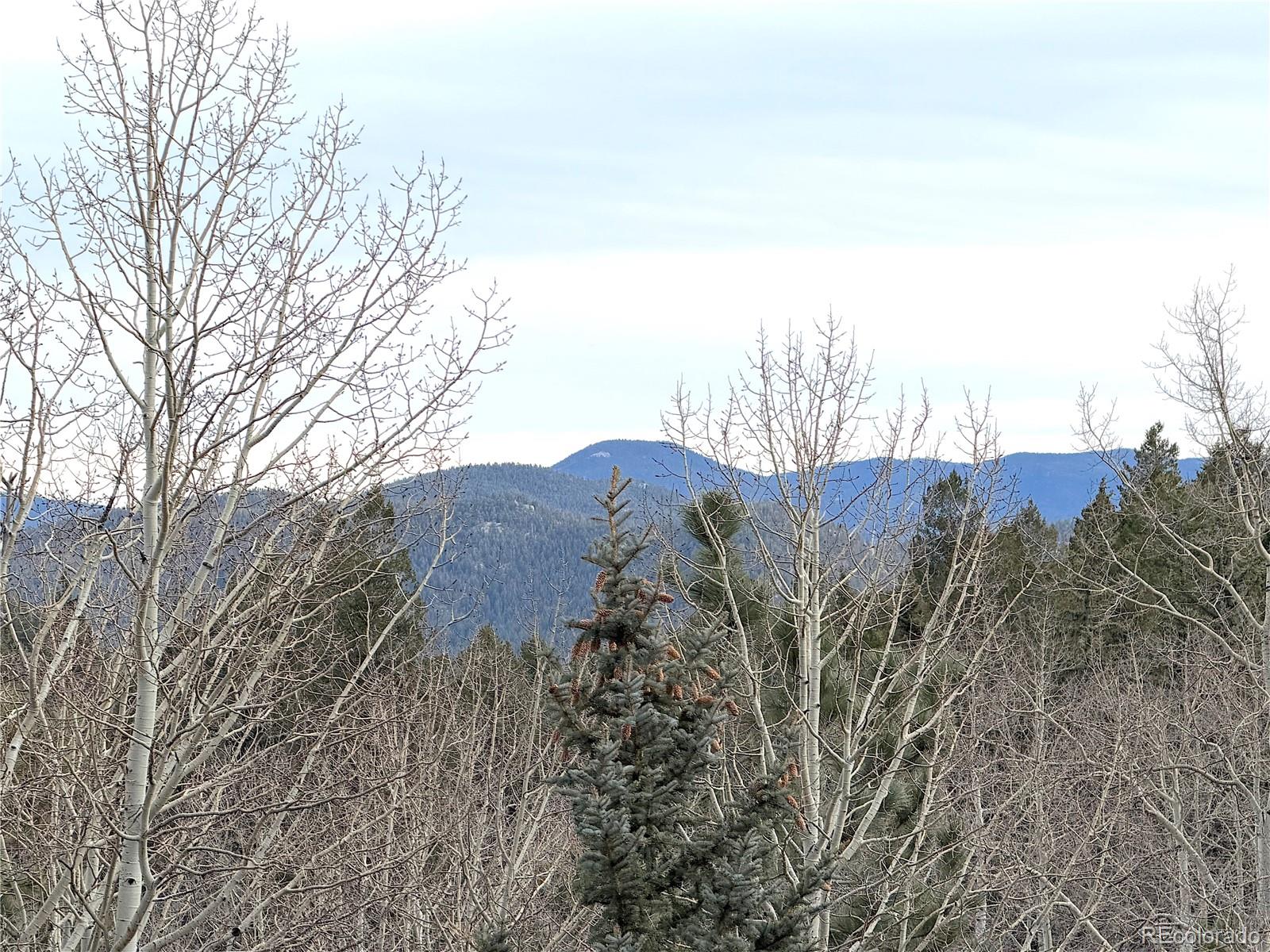 MLS Image #19 for 2508  witter gulch road,evergreen, Colorado