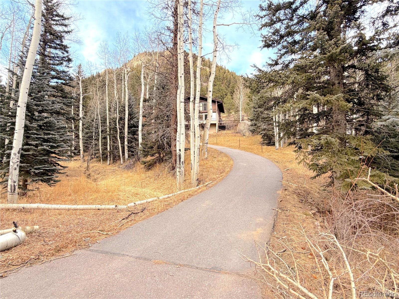MLS Image #2 for 2508  witter gulch road,evergreen, Colorado