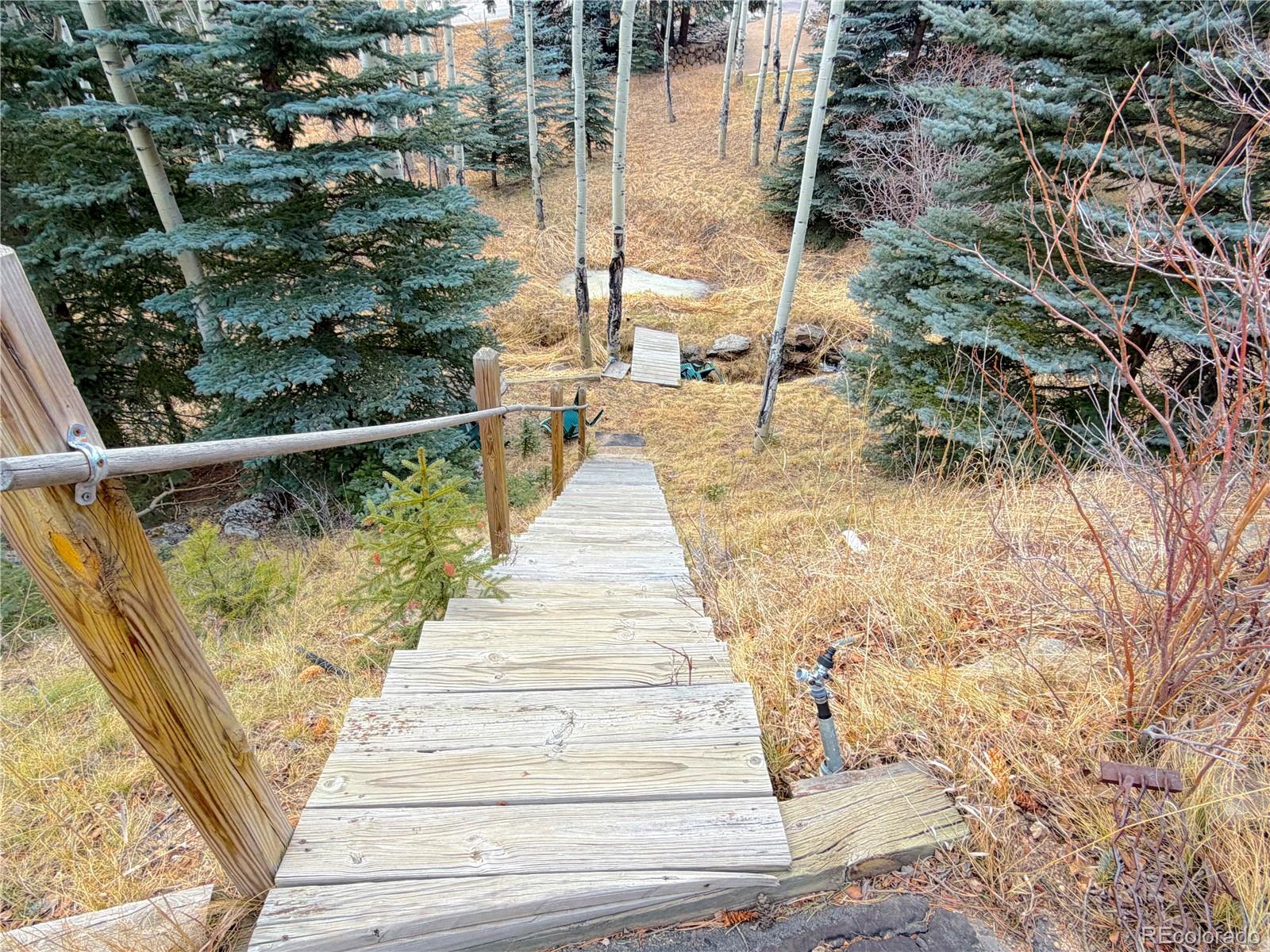 MLS Image #6 for 2508  witter gulch road,evergreen, Colorado