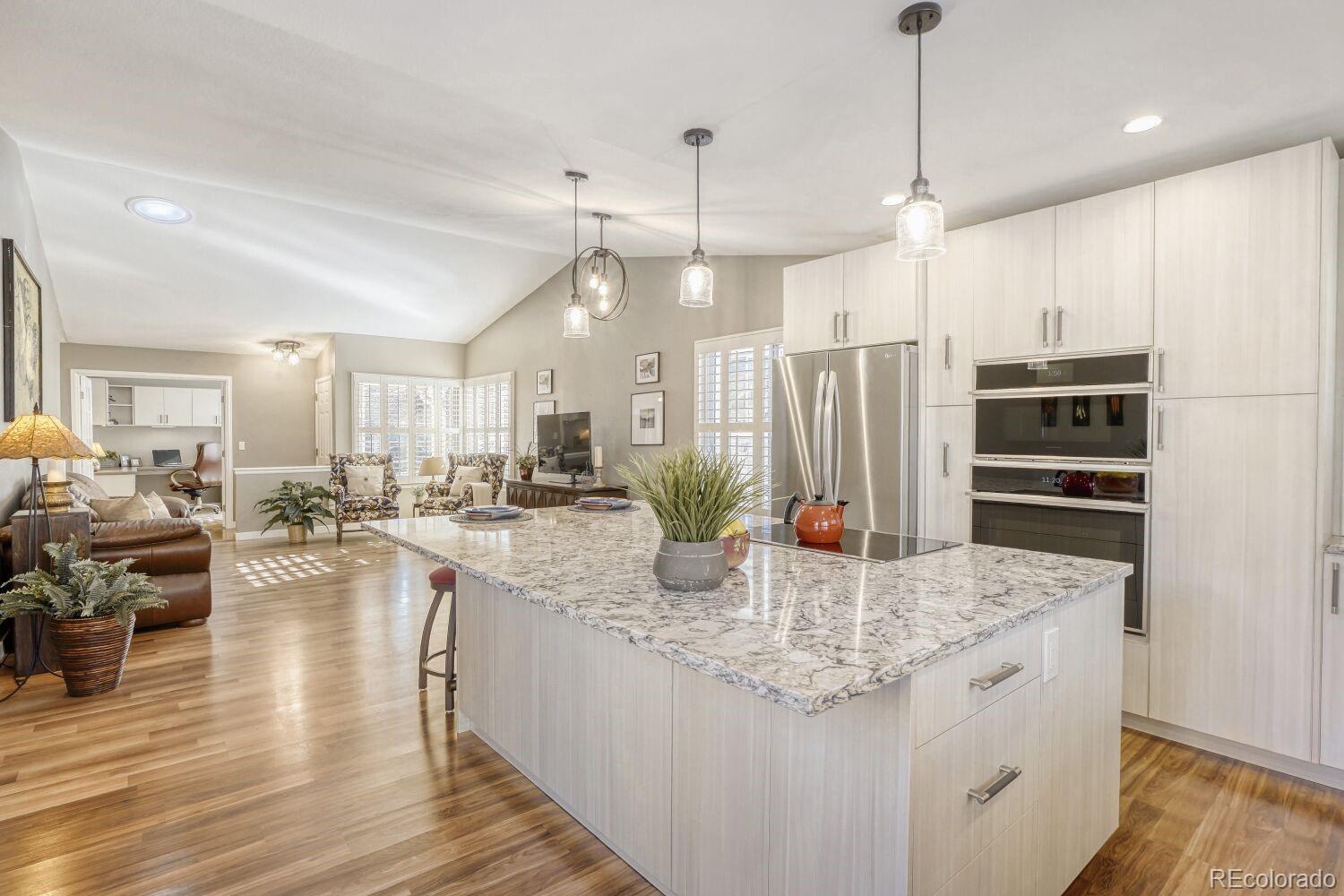 MLS Image #8 for 47  canongate lane ,highlands ranch, Colorado