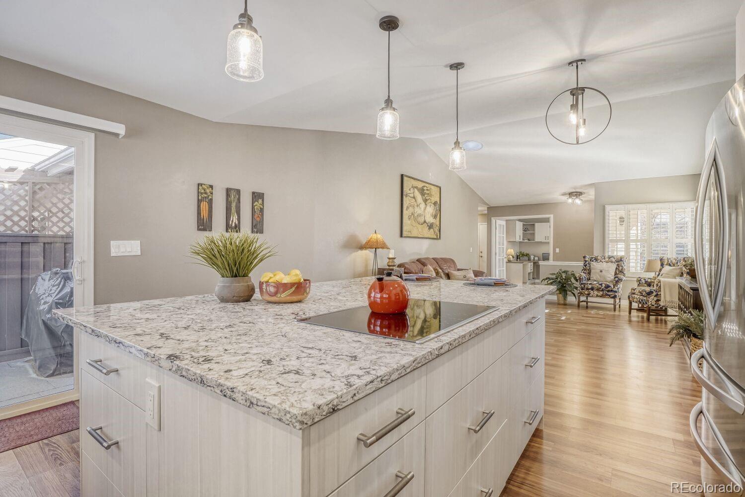 MLS Image #9 for 47  canongate lane ,highlands ranch, Colorado
