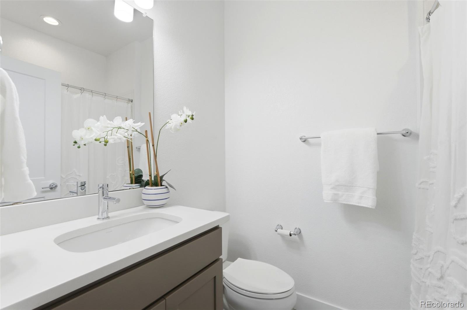 MLS Image #26 for 1081  mariposa street,denver, Colorado