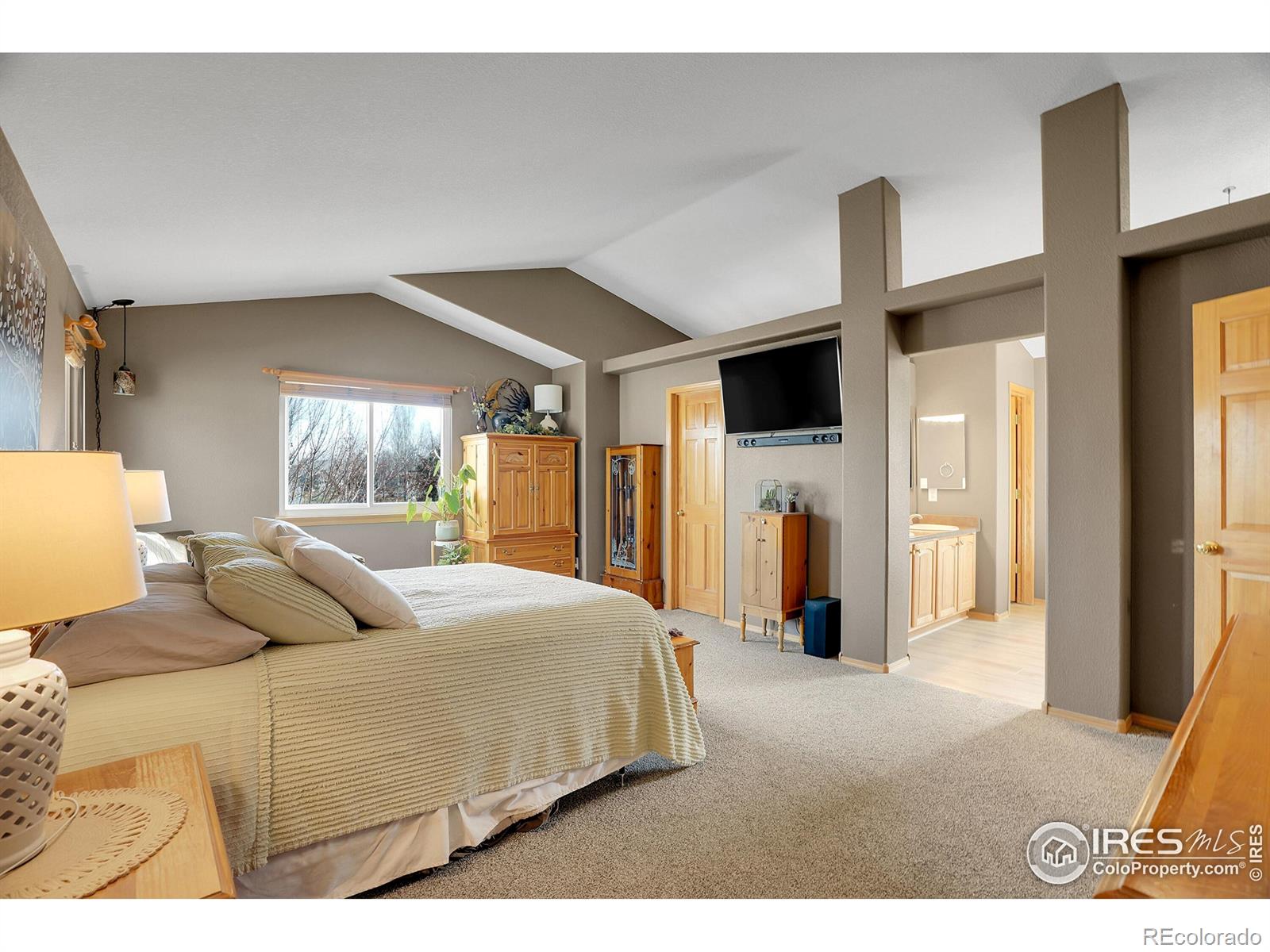 MLS Image #21 for 6363  st vrain ranch boulevard,firestone, Colorado