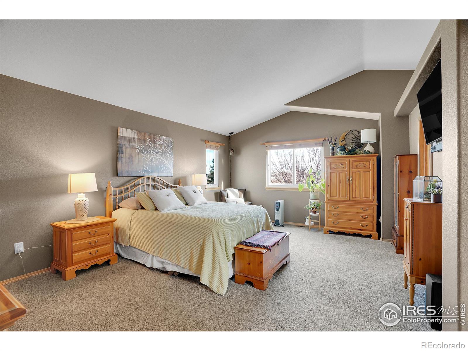 MLS Image #22 for 6363  st vrain ranch boulevard,firestone, Colorado