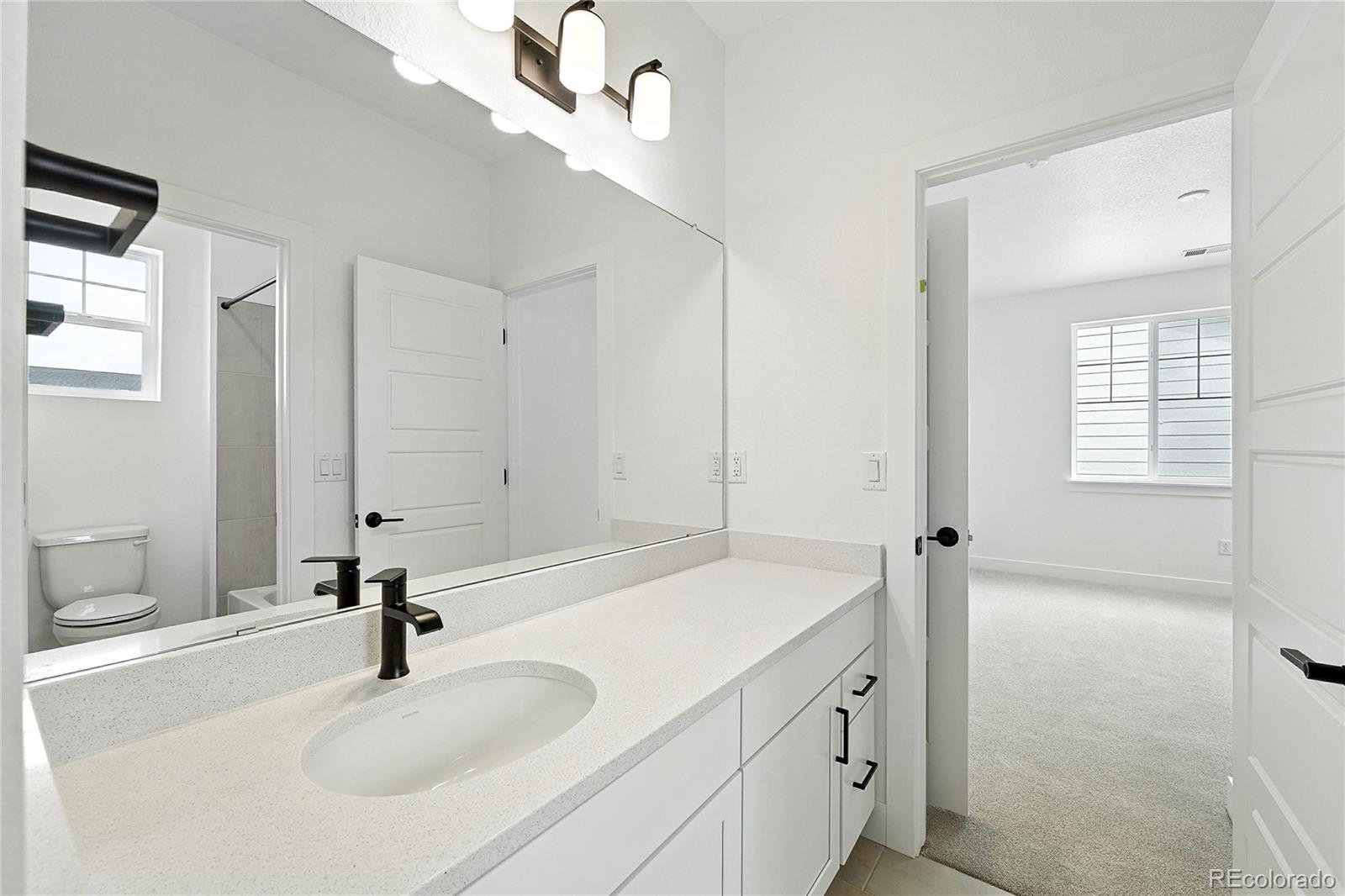MLS Image #17 for 3943  descent street,castle rock, Colorado