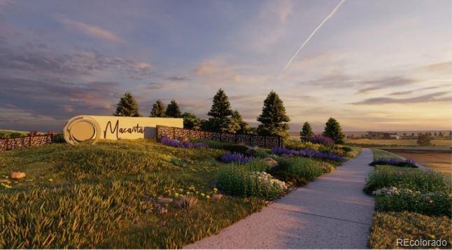 MLS Image #34 for 3943  descent street,castle rock, Colorado