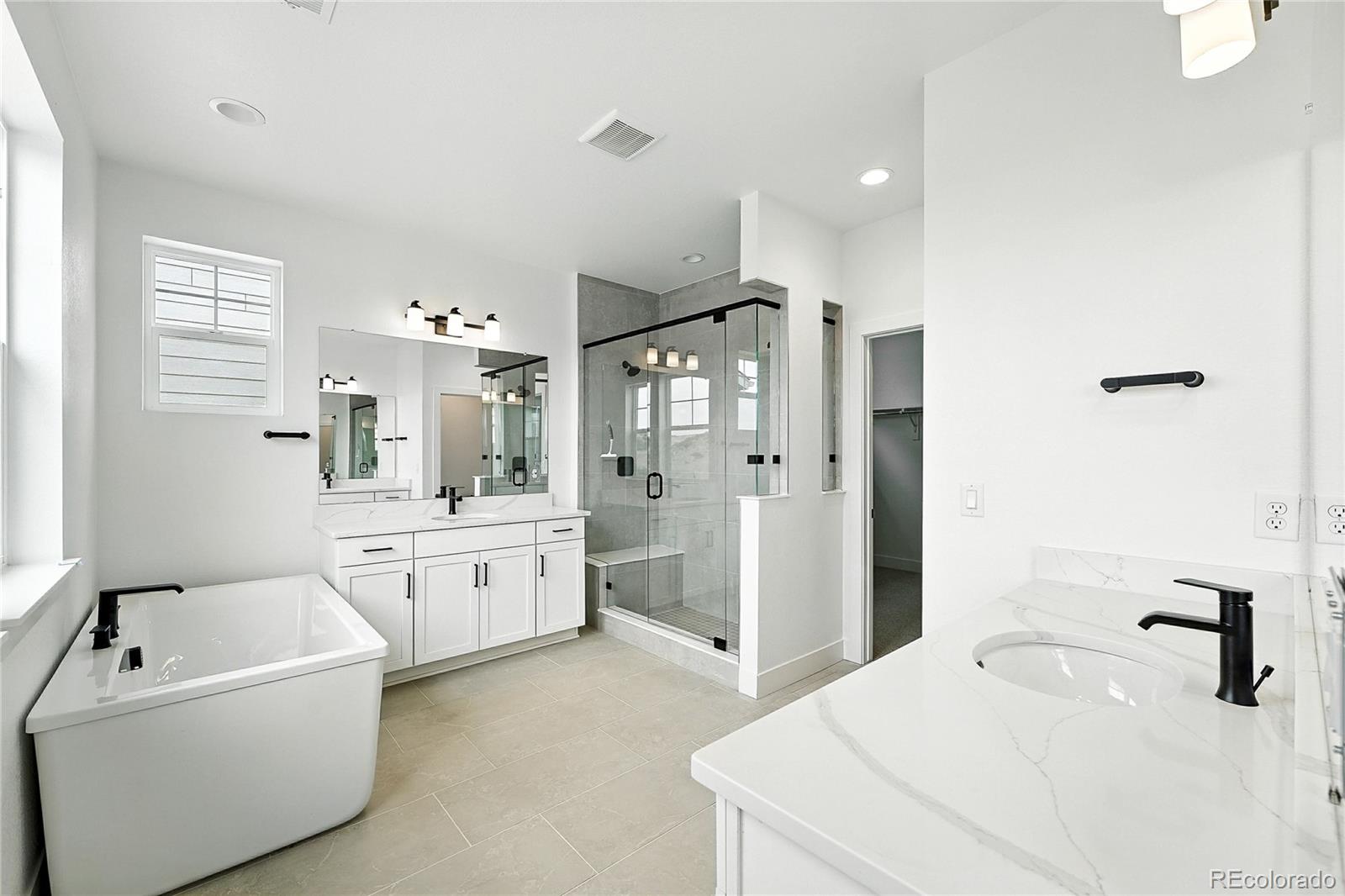 MLS Image #4 for 3943  descent street,castle rock, Colorado