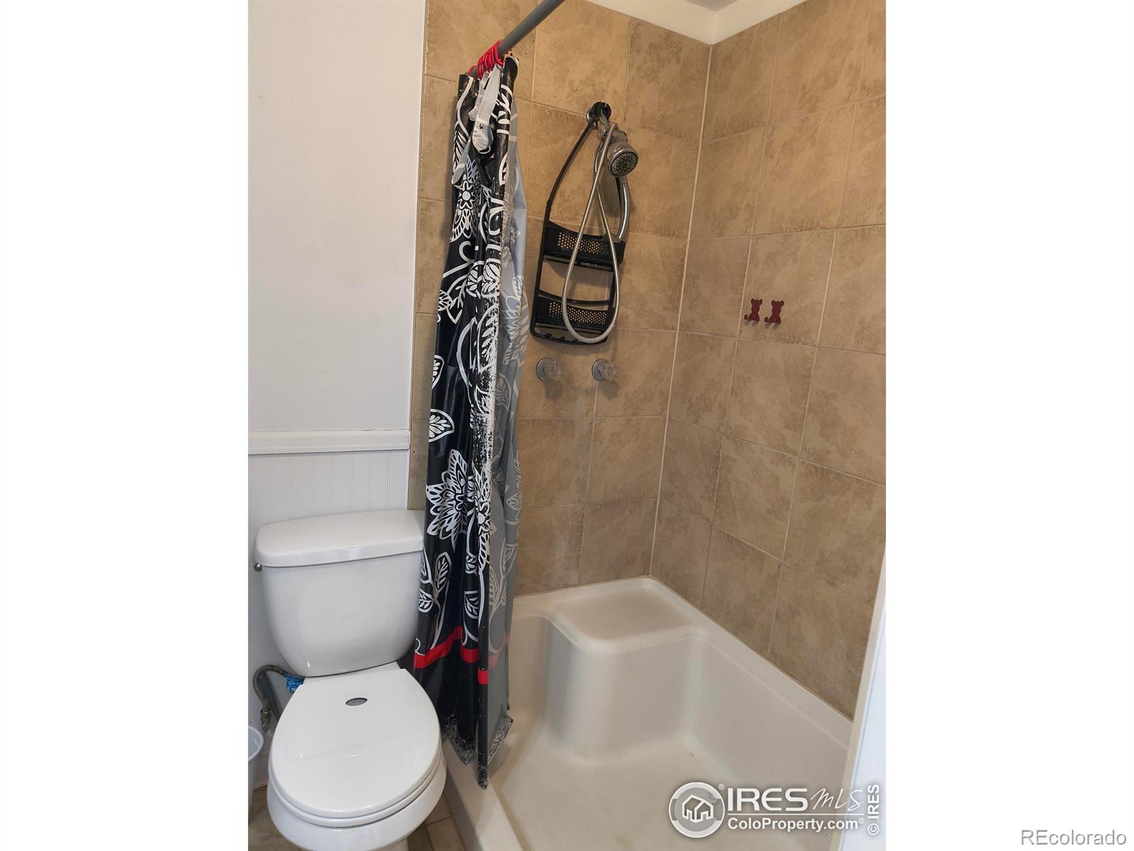 MLS Image #10 for 418  willow drive,lochbuie, Colorado