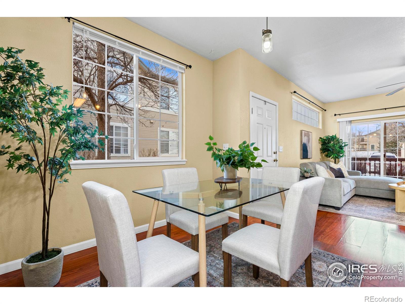 MLS Image #8 for 3002 w elizabeth street,fort collins, Colorado