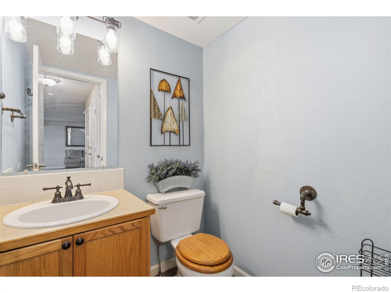 MLS Image #10 for 1000  basin court,windsor, Colorado