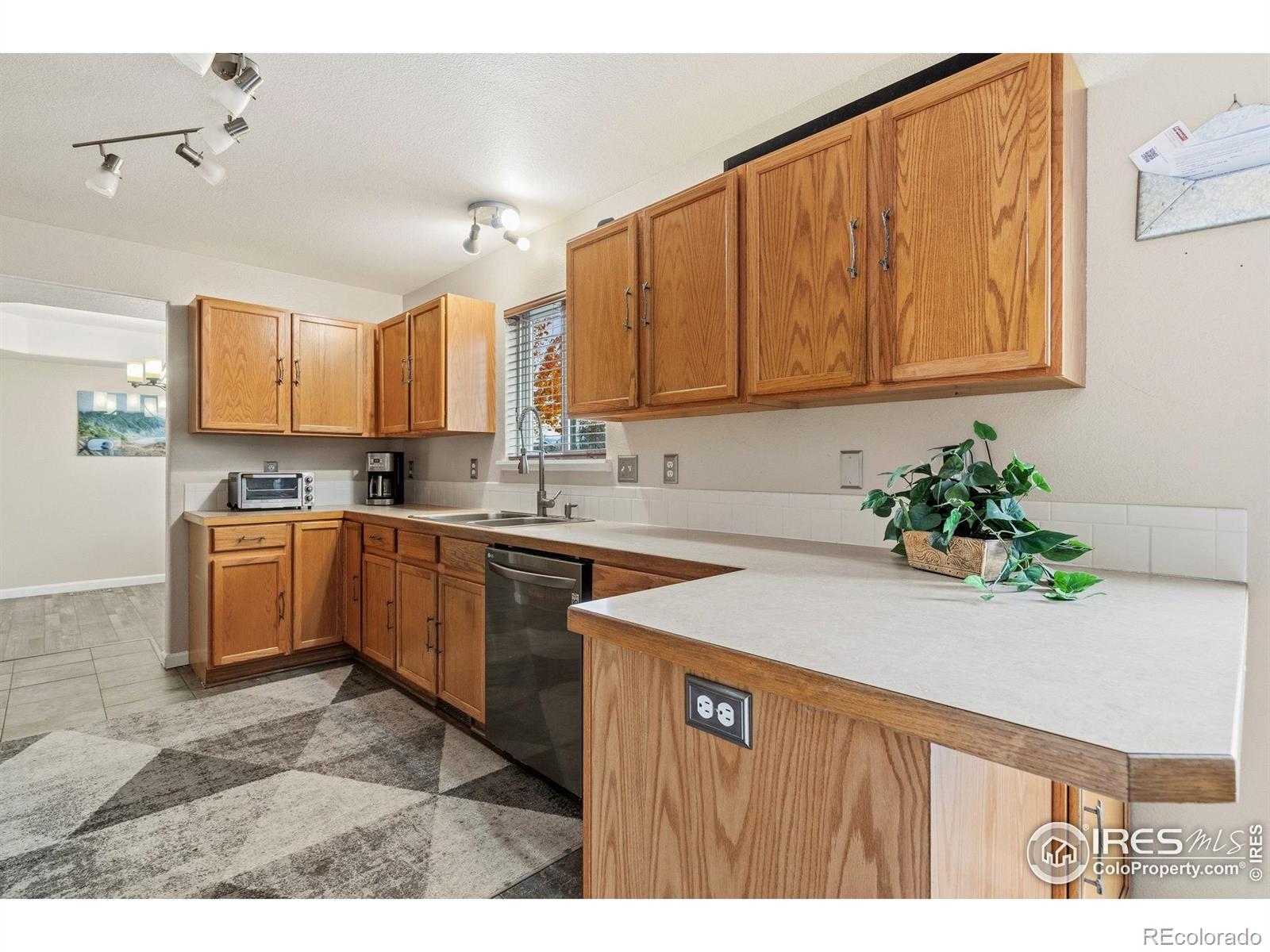 MLS Image #11 for 1000  basin court,windsor, Colorado