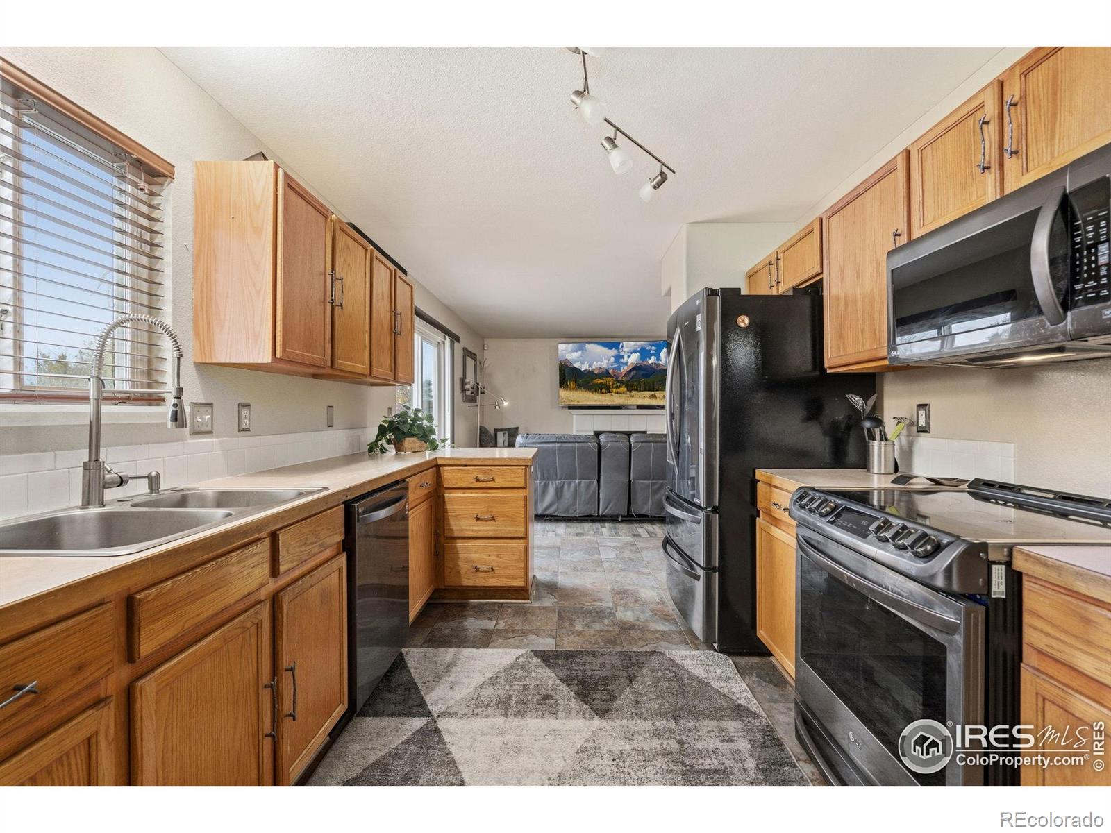 MLS Image #12 for 1000  basin court,windsor, Colorado