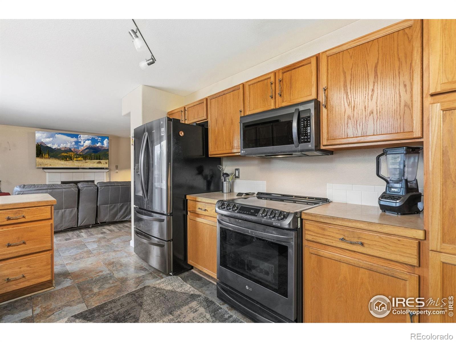 MLS Image #13 for 1000  basin court,windsor, Colorado