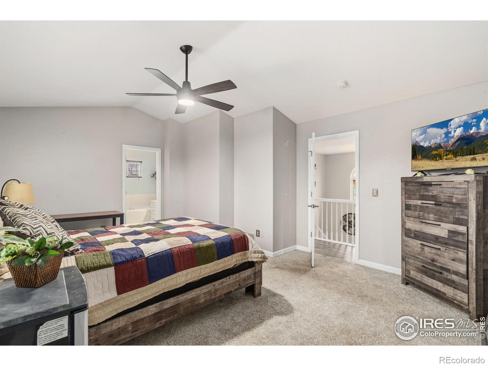 MLS Image #16 for 1000  basin court,windsor, Colorado