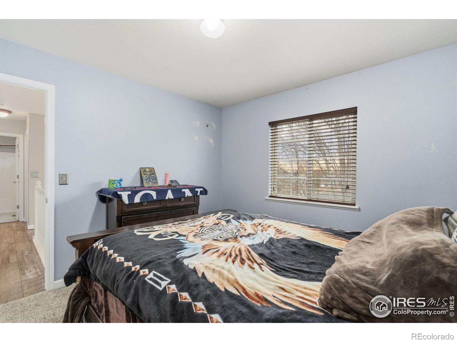 MLS Image #19 for 1000  basin court,windsor, Colorado