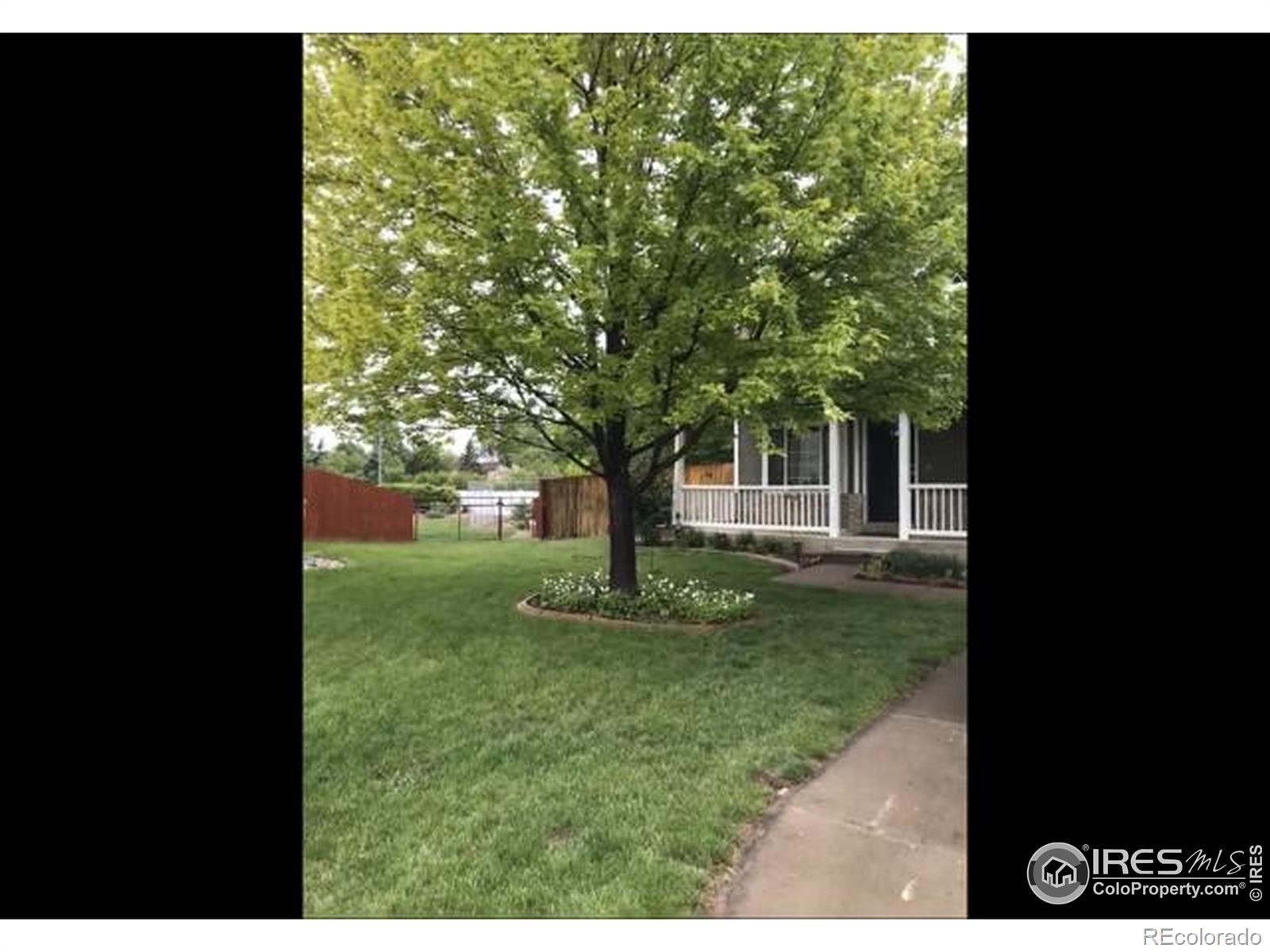 MLS Image #33 for 1000  basin court,windsor, Colorado