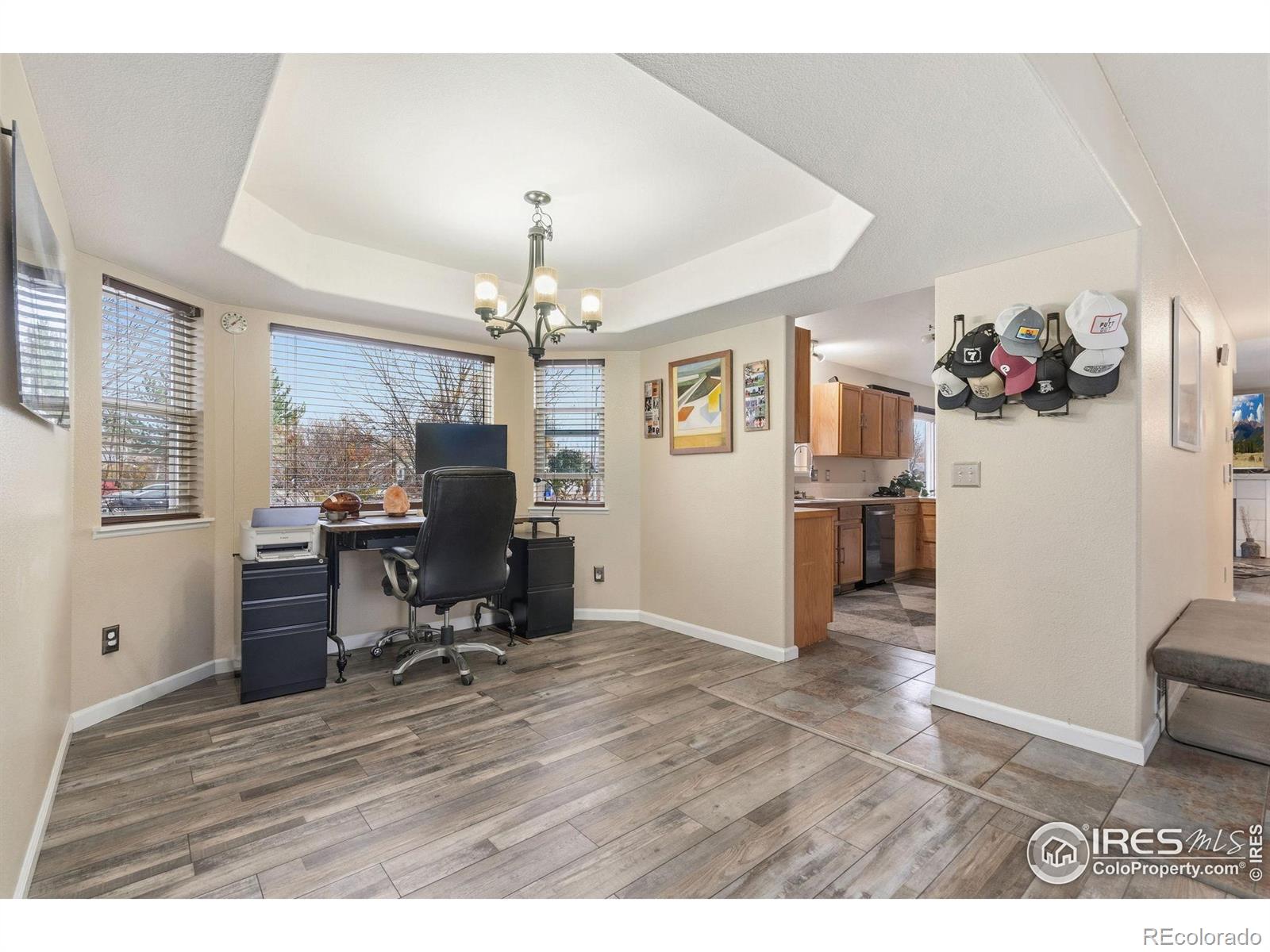MLS Image #7 for 1000  basin court,windsor, Colorado