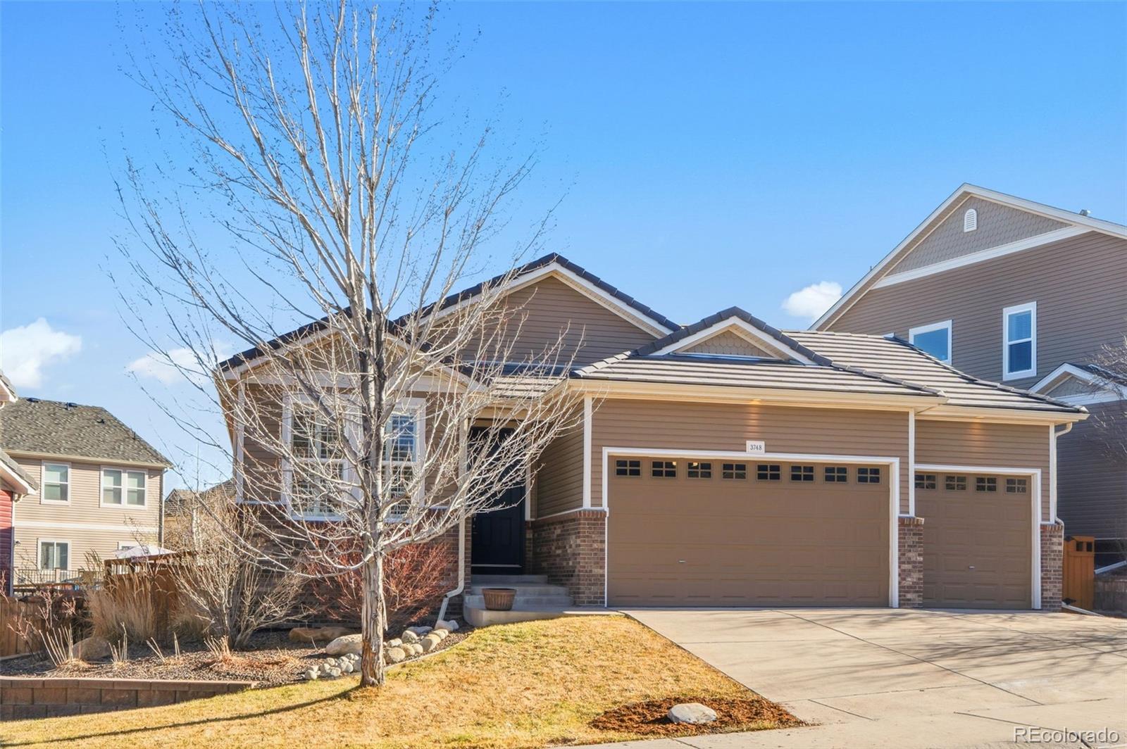 MLS Image #0 for 3748  starry night loop,castle rock, Colorado