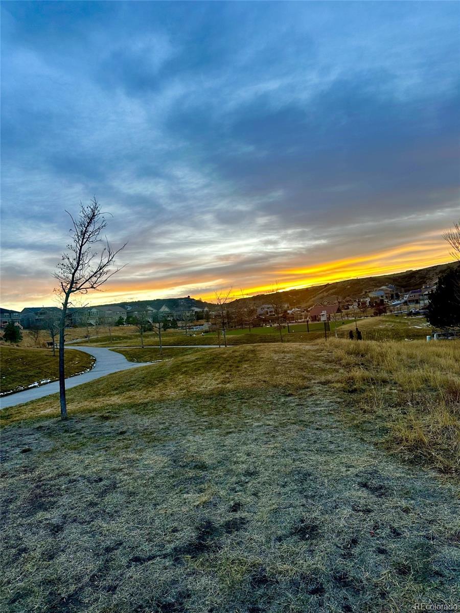 MLS Image #46 for 3748  starry night loop,castle rock, Colorado