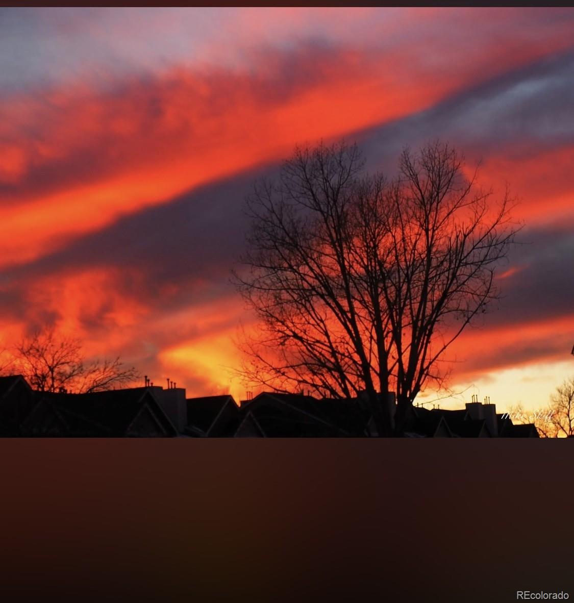 MLS Image #47 for 3748  starry night loop,castle rock, Colorado