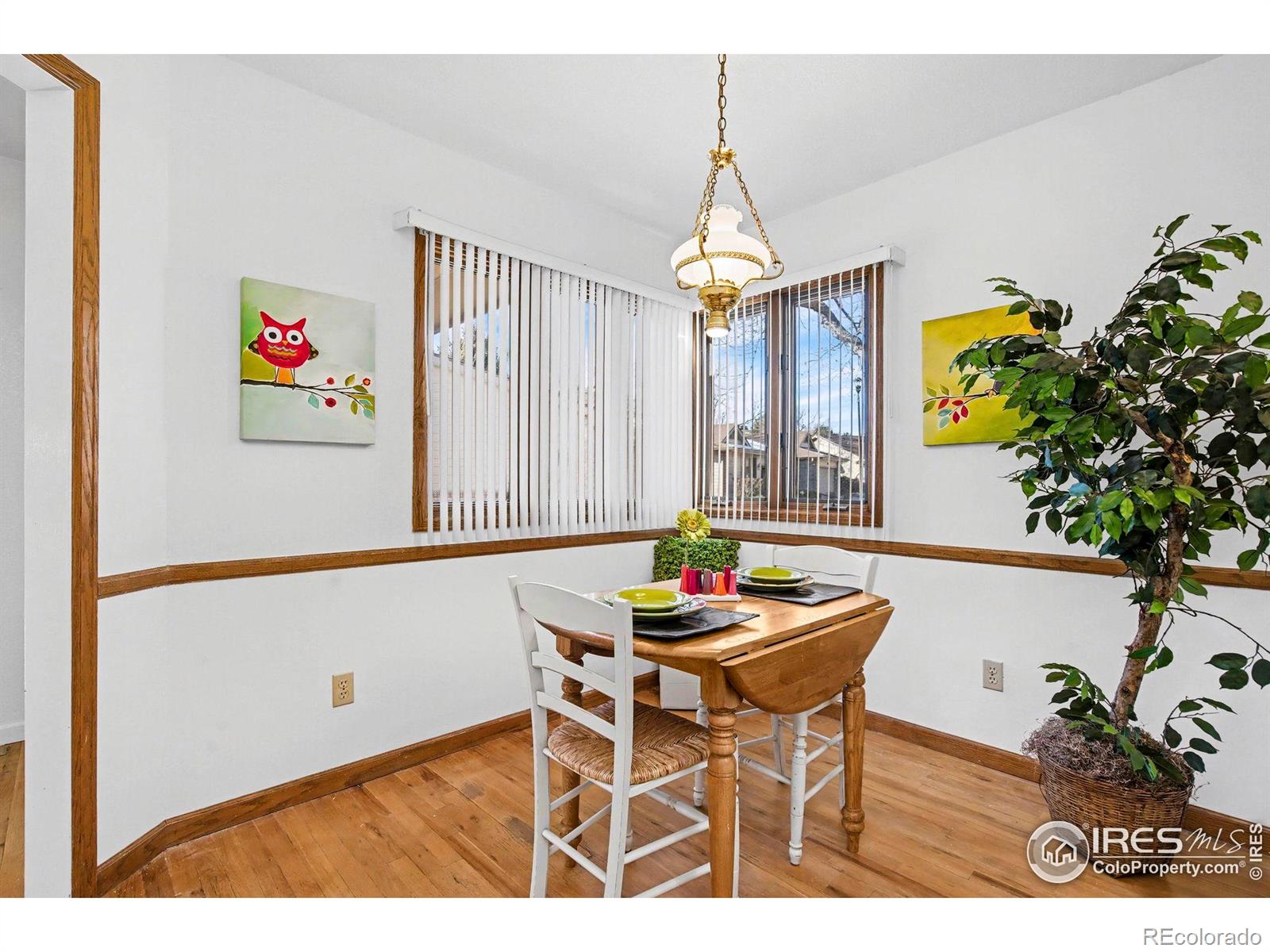 MLS Image #8 for 1249  oak island court,fort collins, Colorado
