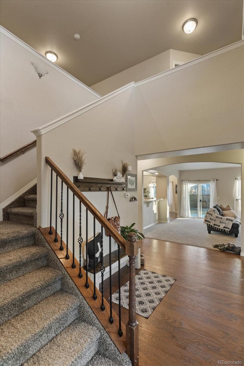 MLS Image #18 for 2686  mustang drive,mead, Colorado