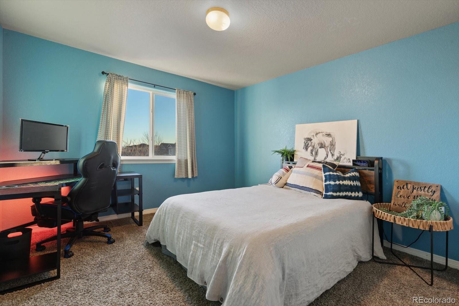 MLS Image #29 for 2686  mustang drive,mead, Colorado